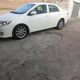 diska pakryshka dine carolla
