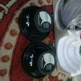 pioneer kalonka