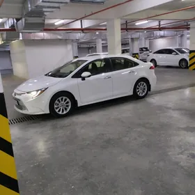 Toyota Corolla 2020