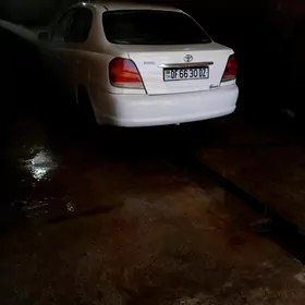 Toyota Echo 2003