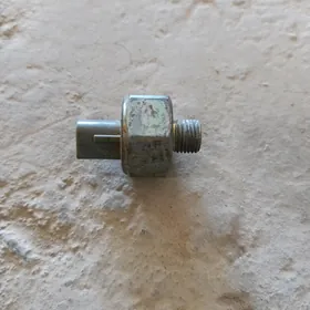 ditonatsiya daççik