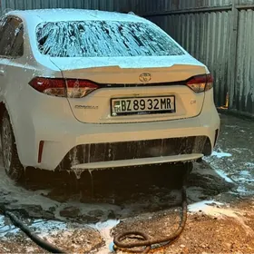 Toyota Corolla 2020