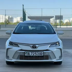 Toyota Corolla 2021