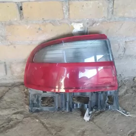 karona stopnik