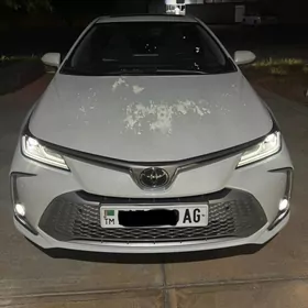 carolla nikelleri 2019/25
