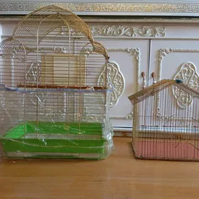клетки