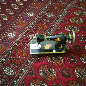 dikin masin (kebelek)