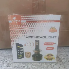 Led Tacpro renkli