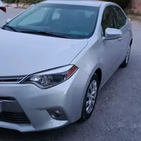Toyota Corolla 2014