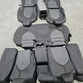 2019 camry cihol radnoy arass