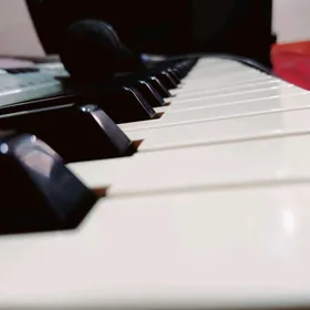 Yamaha PSR OR700