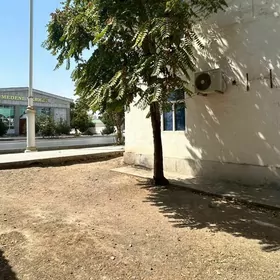 Hitrowka Grazdan 2 kom 3 edele