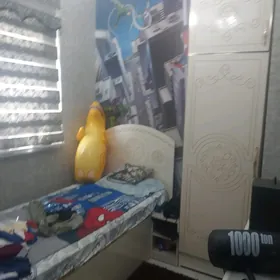 тазе ахал