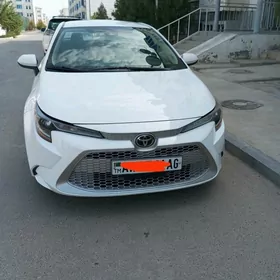 Toyota Corolla 2020