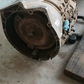 5hp 19 kareyka karopga