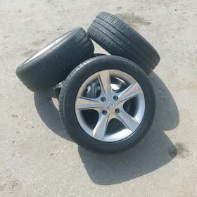 wersa 16 2009 2010
