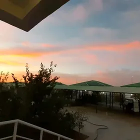 Taze zaman