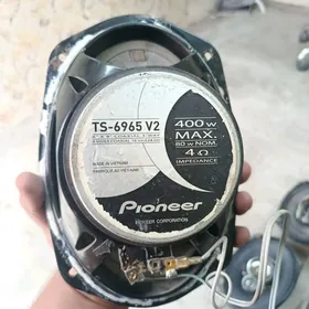 pionner nikl