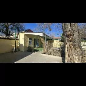 magazyn arenda