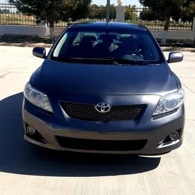 Toyota Corolla 2010