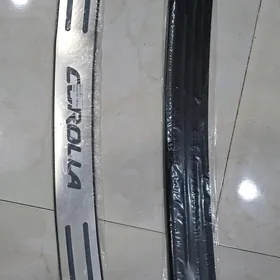 2011 karolla bagaẓ̌ plasmasy