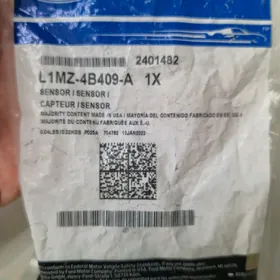 Ford Datçik