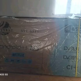 TV Skyvest 65lik Paket