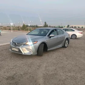Toyota Camry 2019