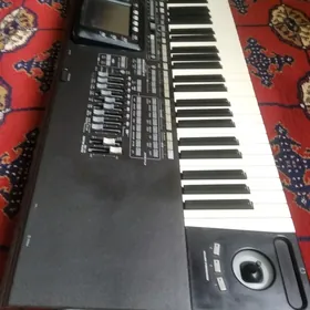 KORG PA 3X 76
