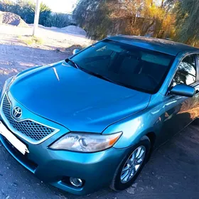 Toyota Camry 2010