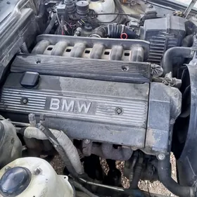 mator 2 lik wanus bmw