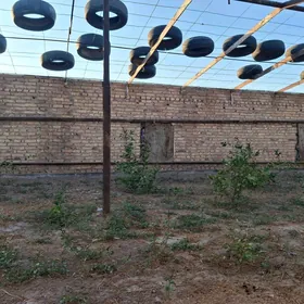 аренда лимонарный