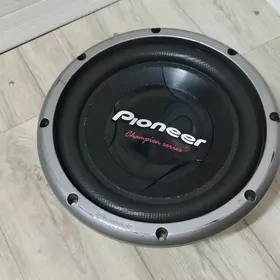Pioneer Bas Bocka