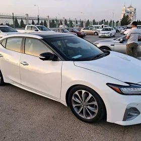 Nissan Maxima 2023