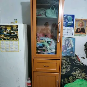холодильник и шкаф