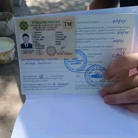 prawa yitdi