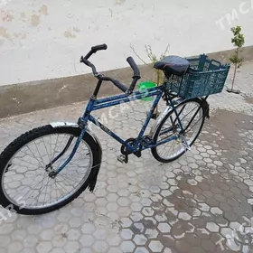 Welik 26lyk