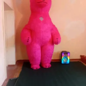 misgalar