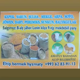 isgar gerek