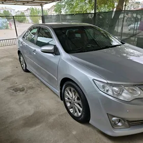 Toyota Camry 2013