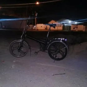 tigr Kama