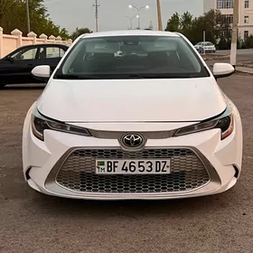 Toyota Corolla 2021