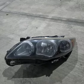 Carolla fara
