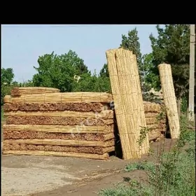 Gamyş (Kamyş)