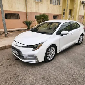 Toyota Corolla 2020