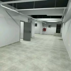 eyesinden gurtly arenda
