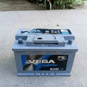 vega 75lik