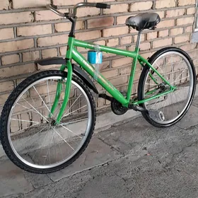 TIGIR TURKMENISTAN