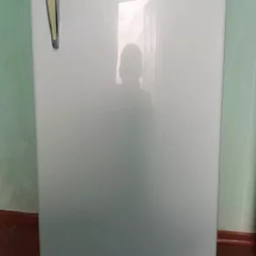 Holodinik