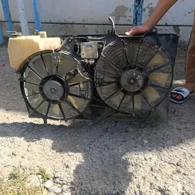 wintilyoator senna
